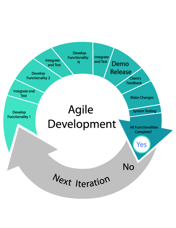 Agile Methodology in Software Development
